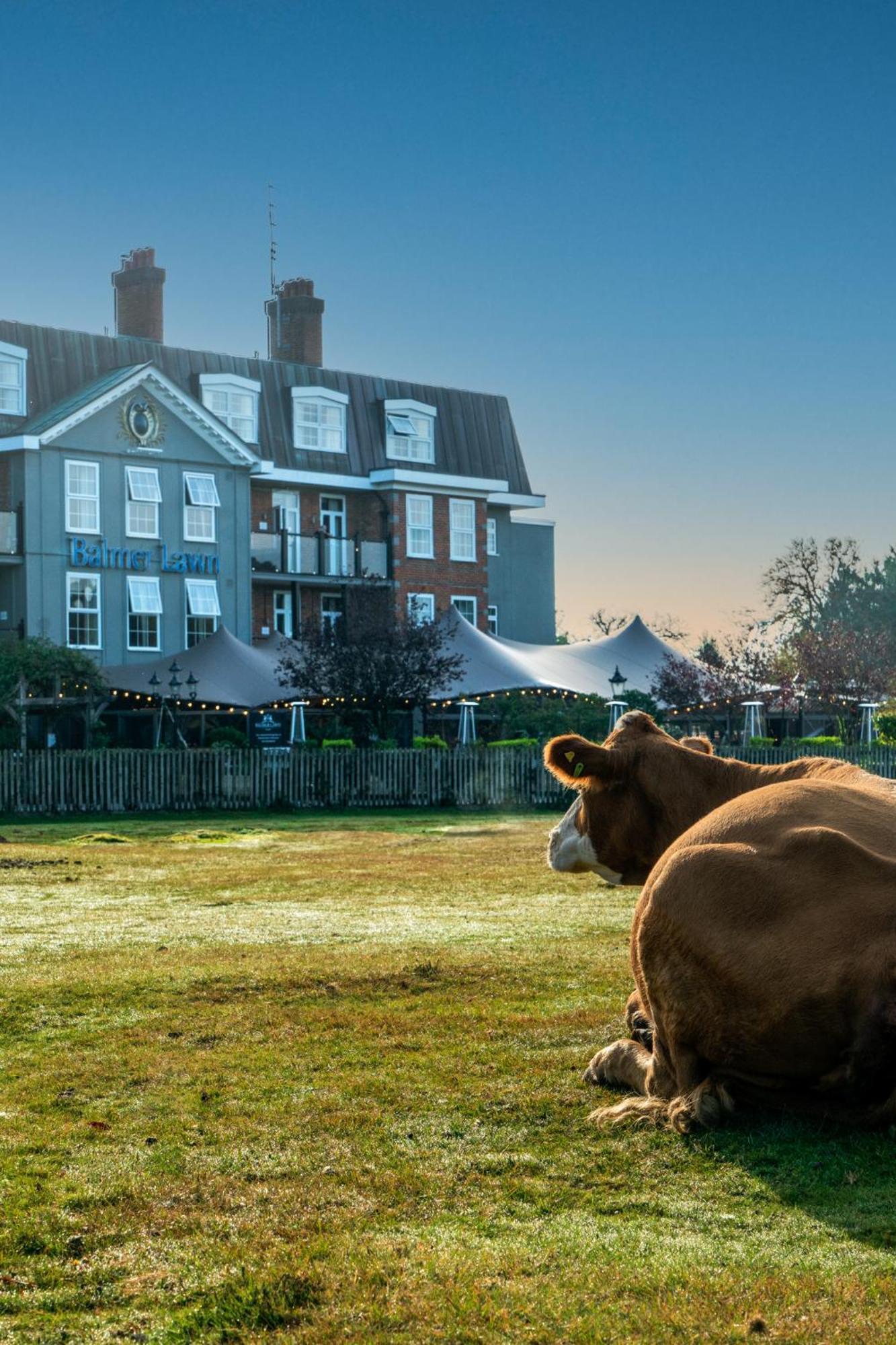 Balmer Lawn Brockenhurst Buitenkant foto