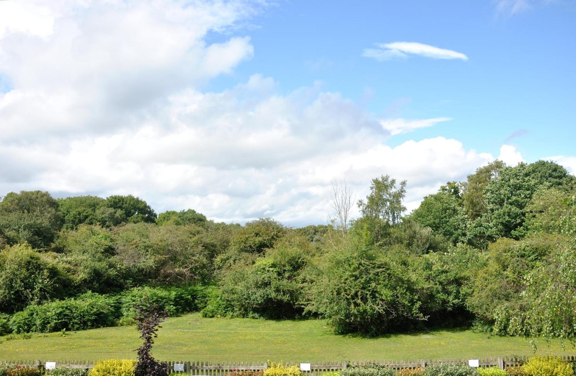 Balmer Lawn Brockenhurst Buitenkant foto
